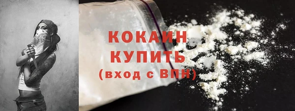 шишки Осинники