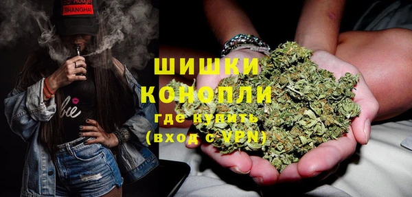 шишки Осинники