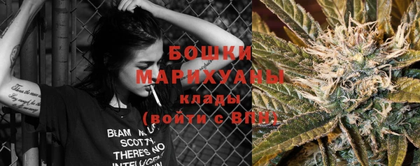 шишки Осинники