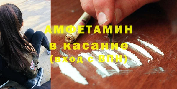 шишки Осинники