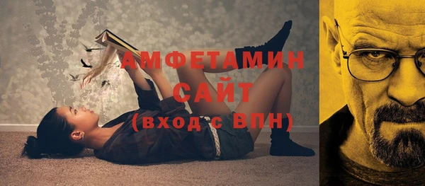 шишки Осинники
