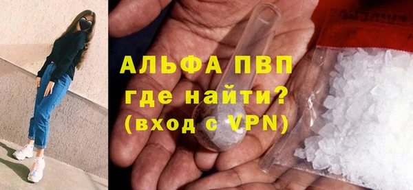 шишки Осинники