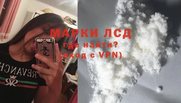 шишки Осинники