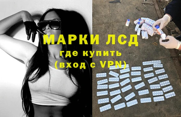 шишки Няндома
