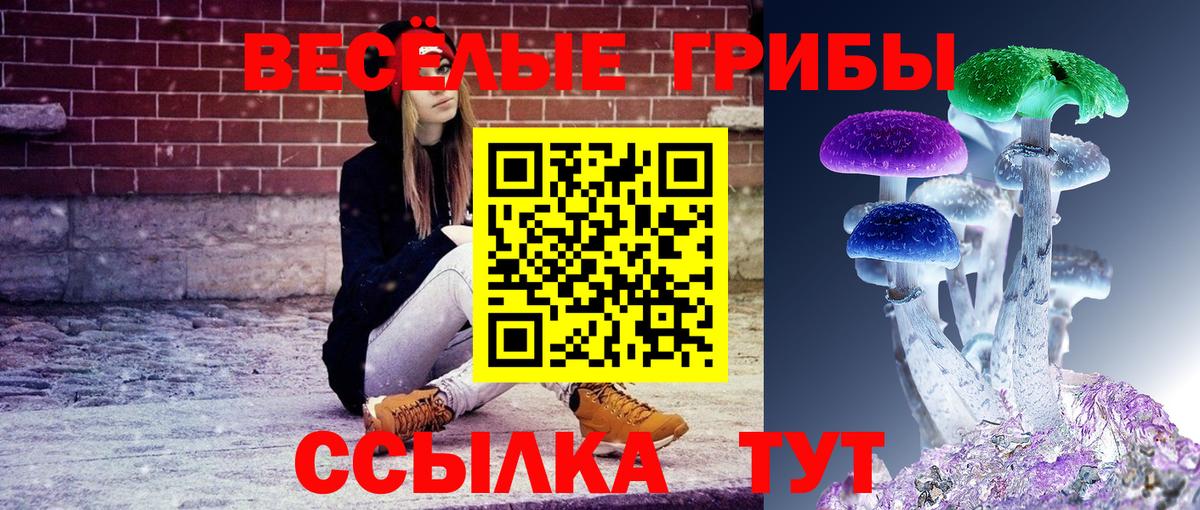 Псилоцибиновые грибы мицелий  Псилоцибиновые грибы GOLDEN TEACHER  Курчатов 