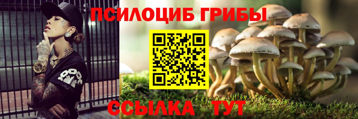 Псилоцибиновые грибы мицелий  Псилоцибиновые грибы прущие грибы  Вход с VPN  Курчатов 