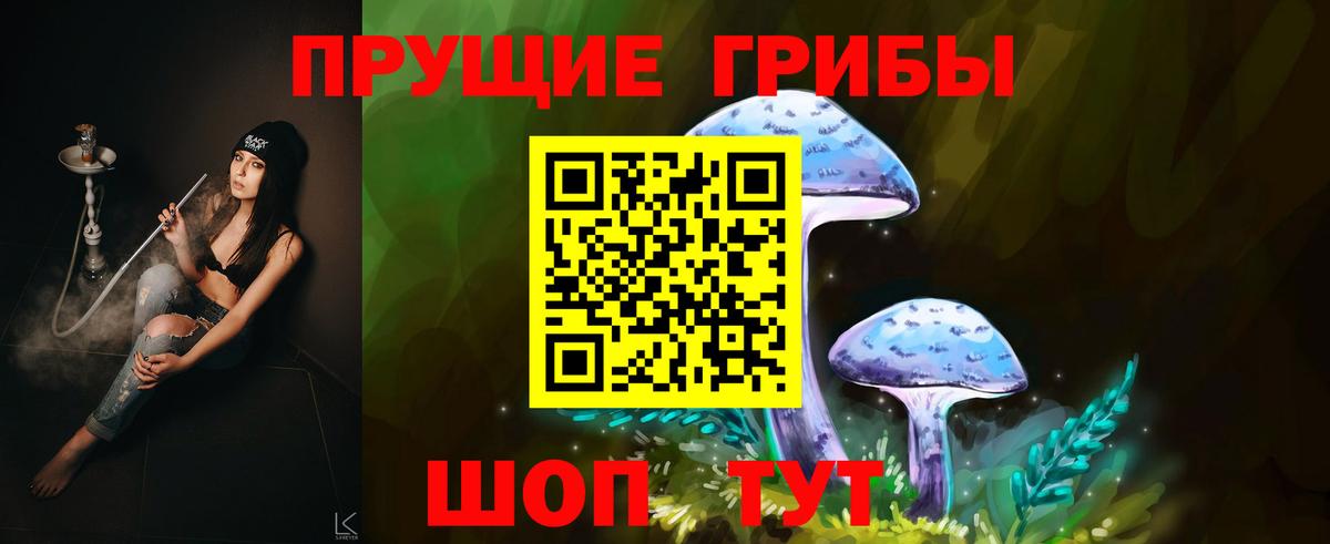 Псилоцибиновые грибы мицелий Курчатов
