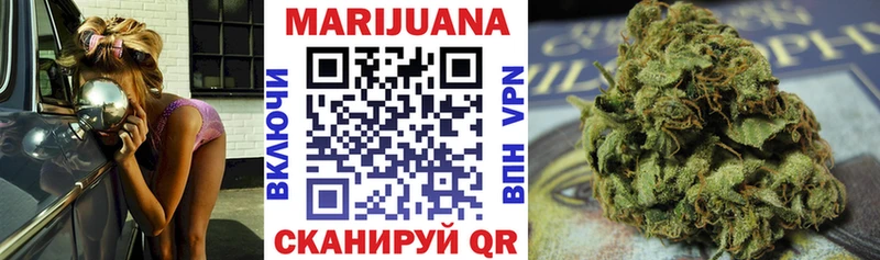 Марихуана план  как найти закладки  Курчатов 